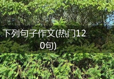 下列句子作文(热门120句)