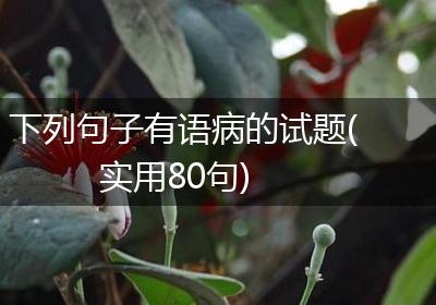 下列句子有语病的试题(实用80句)