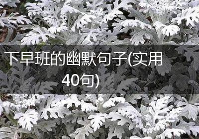 下早班的幽默句子(实用40句)