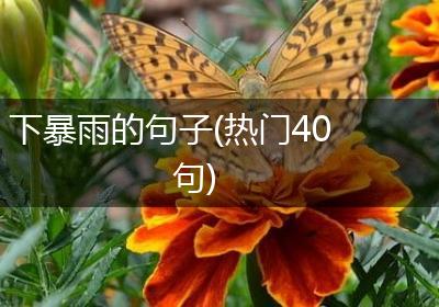 下暴雨的句子(热门40句)