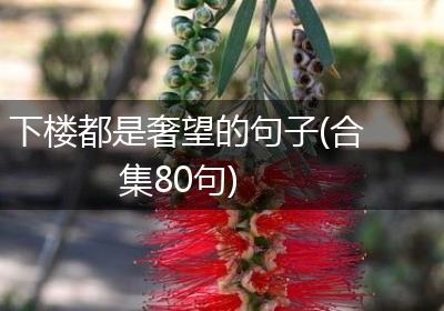 下楼都是奢望的句子(合集80句)