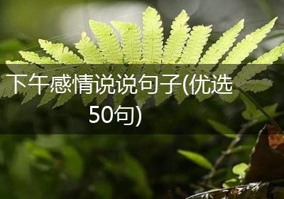 下午感情说说句子(优选50句)