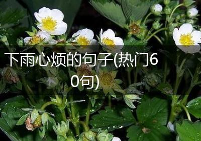 下雨心烦的句子(热门60句)