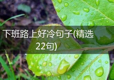 下班路上好冷句子(精选22句)