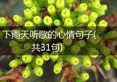 下雨天听歌的心情句子(共31句)