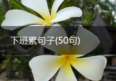下班累句子(50句)