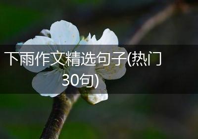 下雨作文精选句子(热门30句)