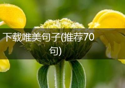 下载唯美句子(推荐70句)
