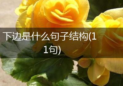下边是什么句子结构(11句)