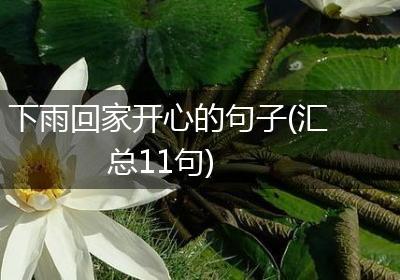下雨回家开心的句子(汇总11句)
