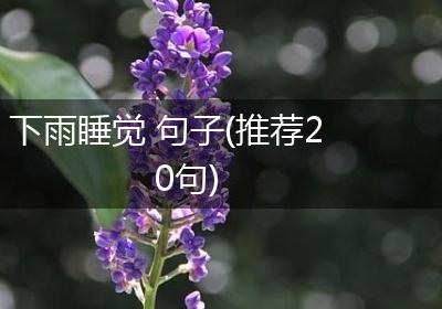 下雨睡觉 句子(推荐20句)