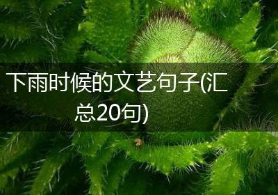 下雨时候的文艺句子(汇总20句)