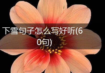 下雪句子怎么写好听(60句)