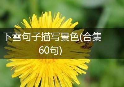下雪句子描写景色(合集60句)