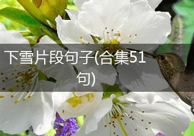 下雪片段句子(合集51句)
