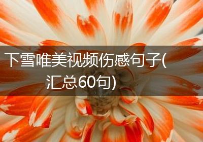 下雪唯美视频伤感句子(汇总60句)