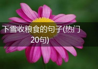 下雪收粮食的句子(热门20句)