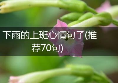 下雨的上班心情句子(推荐70句)