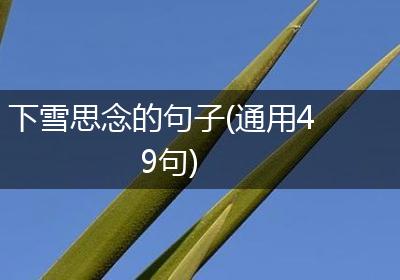下雪思念的句子(通用49句)