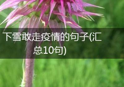 下雪敢走疫情的句子(汇总10句)