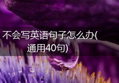 不会写英语句子怎么办(通用40句)