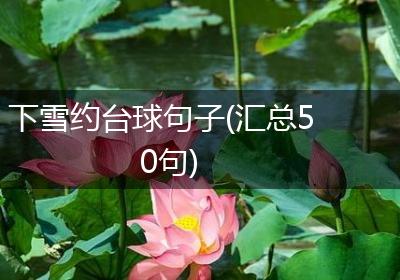 下雪约台球句子(汇总50句)