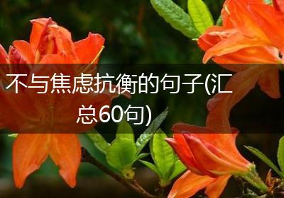 不与焦虑抗衡的句子(汇总60句)