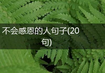 不会感恩的人句子(20句)