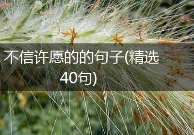 不信许愿的的句子(精选40句)