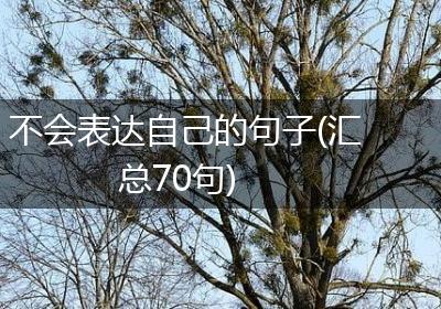 不会表达自己的句子(汇总70句)