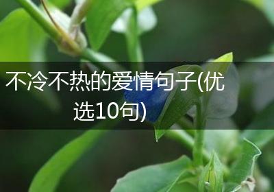 不冷不热的爱情句子(优选10句)