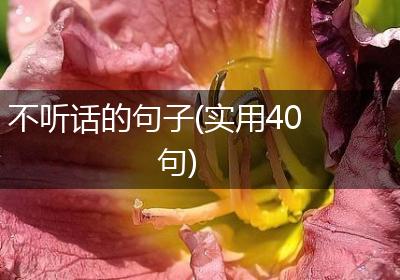 不听话的句子(实用40句)