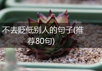不去贬低别人的句子(推荐80句)