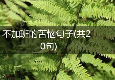 不加班的苦恼句子(共20句)