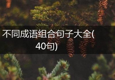 不同成语组合句子大全(40句)
