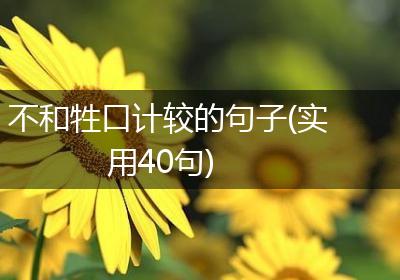 不和牲口计较的句子(实用40句)