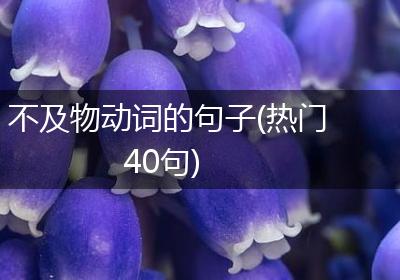 不及物动词的句子(热门40句)