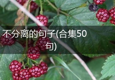 不分离的句子(合集50句)
