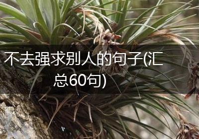 不去强求别人的句子(汇总60句)