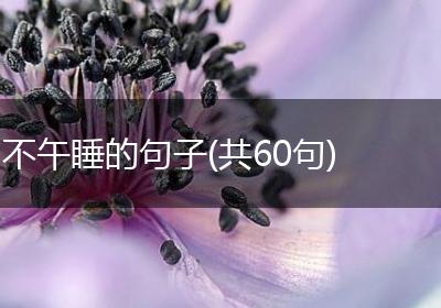 不午睡的句子(共60句)