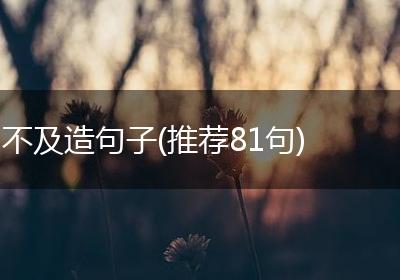 不及造句子(推荐81句)