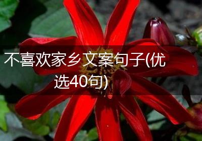 不喜欢家乡文案句子(优选40句)