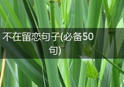 不在留恋句子(必备50句)