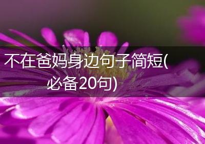 不在爸妈身边句子简短(必备20句)