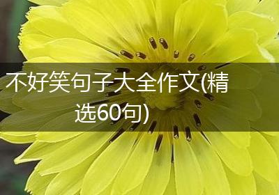 不好笑句子大全作文(精选60句)
