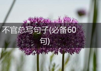 不官总写句子(必备60句)