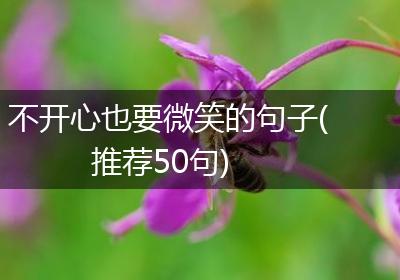 不开心也要微笑的句子(推荐50句)
