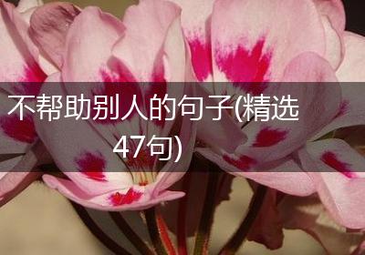 不帮助别人的句子(精选47句)