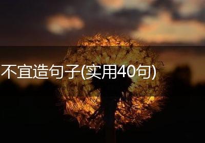 不宜造句子(实用40句)