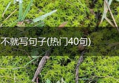 不就写句子(热门40句)